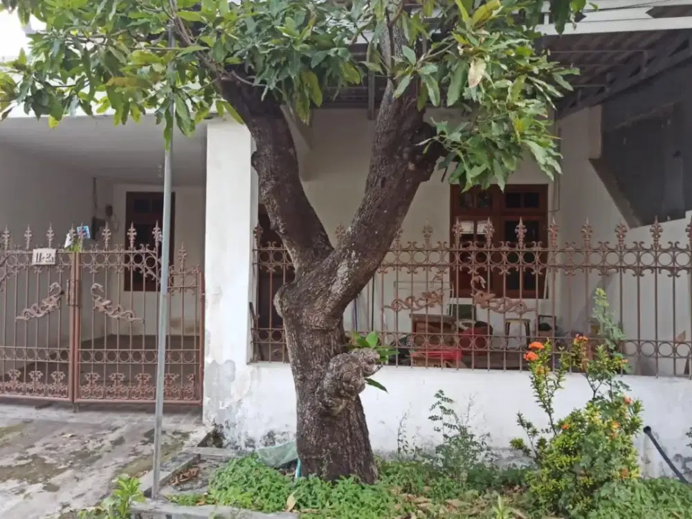 Disewakan Rumah Kutisari Indah Barat