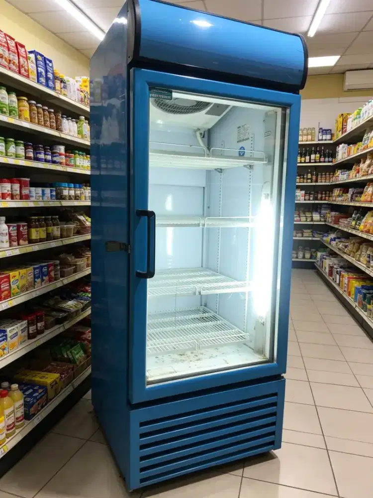 Showcase Frigorex 250 Liter Orisinil