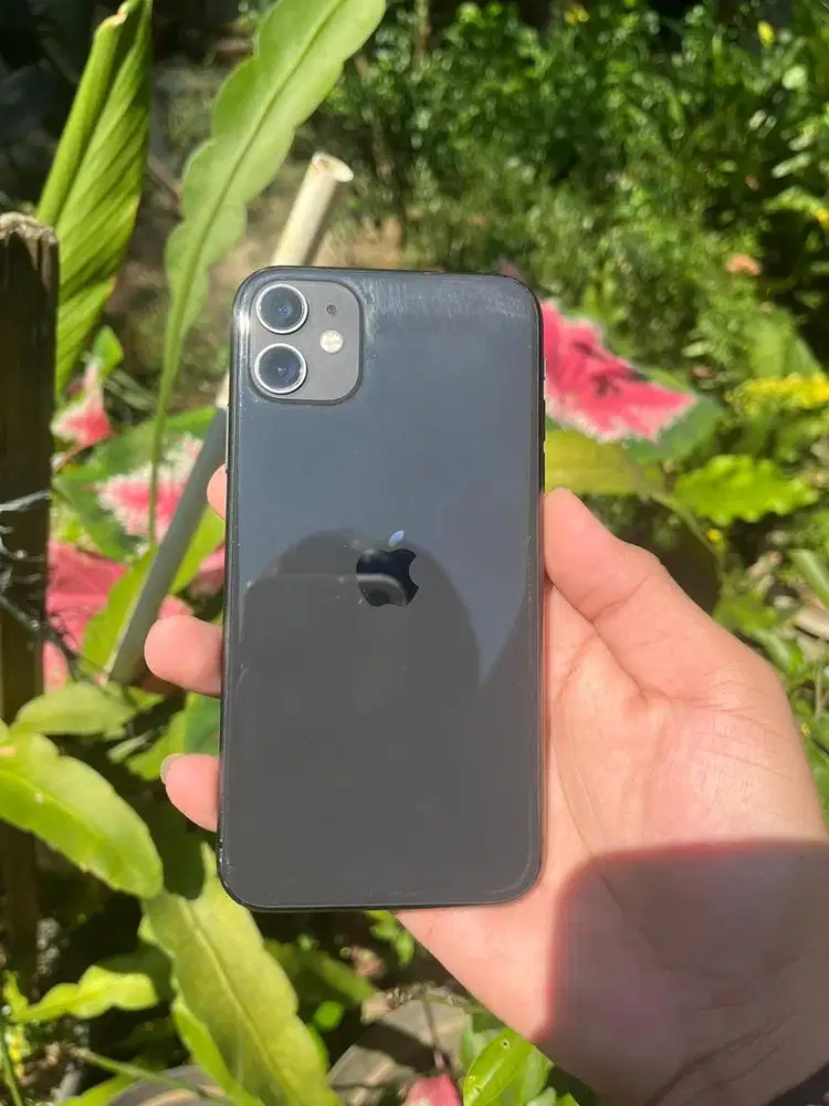 iphone 11 64gb ibox