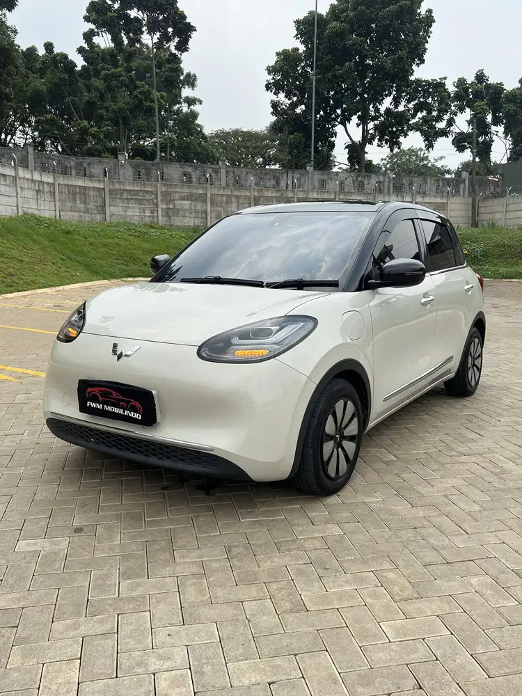 Wuling binguo EV premium range 2024 super mulus