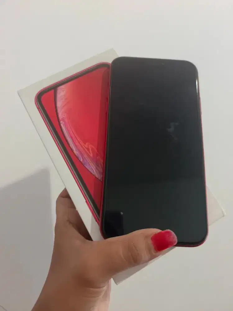 Bu XR 256Gb Fullset