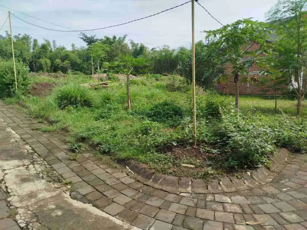 Tanah Hook Toyomarto Singosari Malang