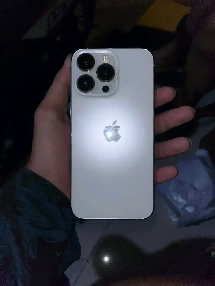 iphone 13 pro 128 fullset wifi only(bukan bypass)