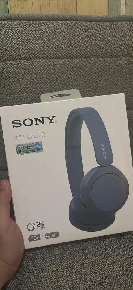 Sony WH - CH520