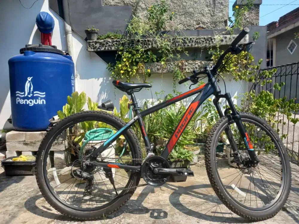 Sepeda Gunung MTB - Pacific Invert 200 Alloy