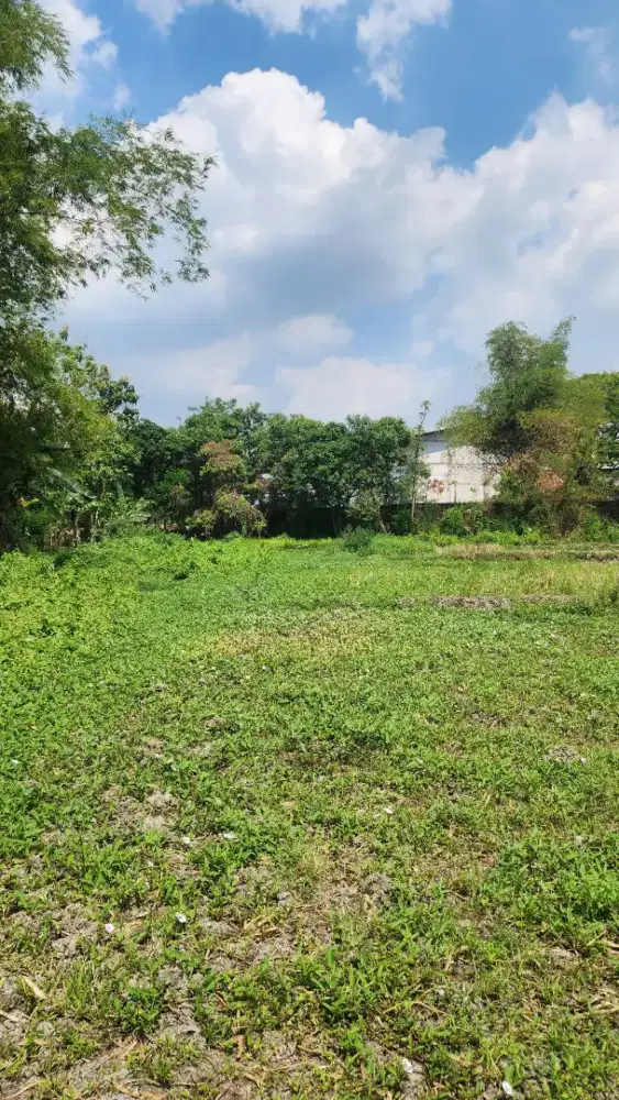 dijual cepat tanah strategis. Baureno-bojonegoro