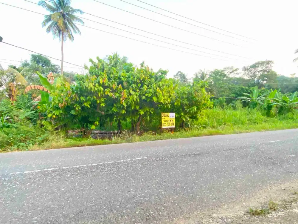 tanah 6475 m² jalan raya mutun