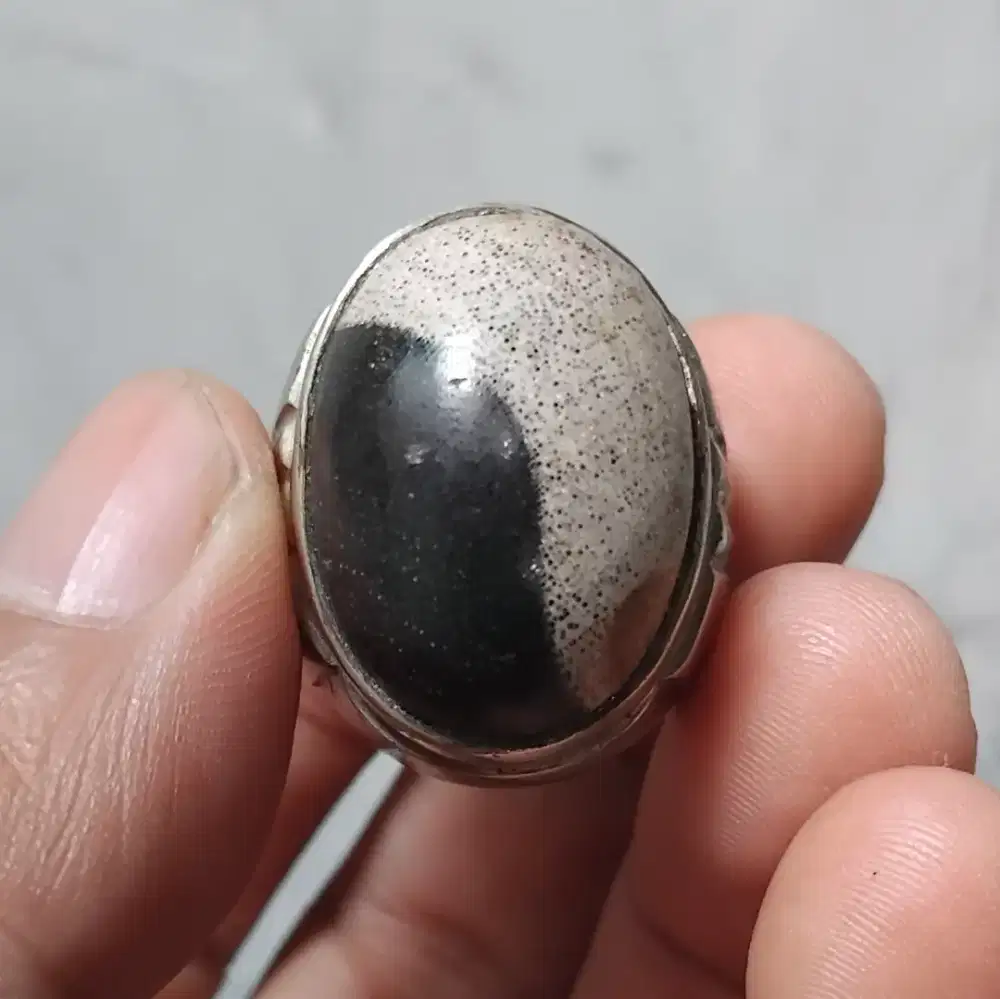 Batu akik fosil kelor
