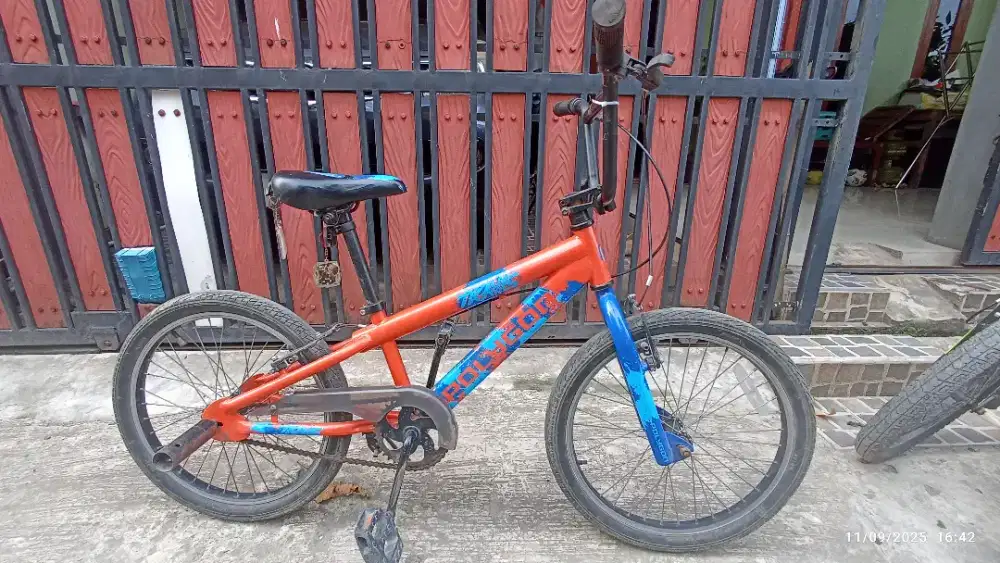 BMX Polygon 20 inch