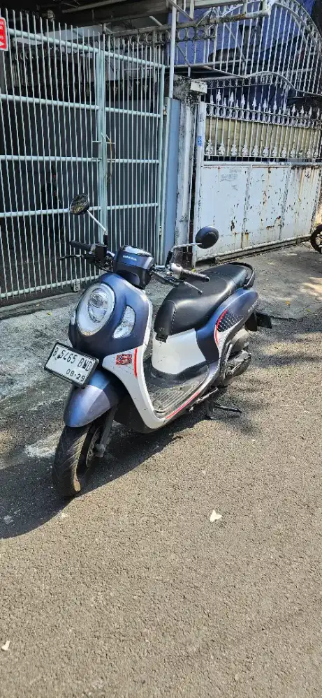 Honda scoopy 2024