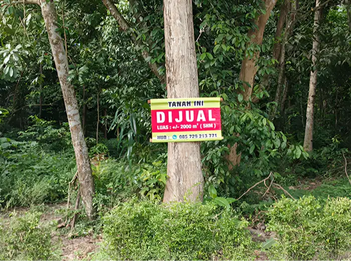 JUAL TANAH MURAH 2000m2 - LOKASI BANARAN - KULON PROGO