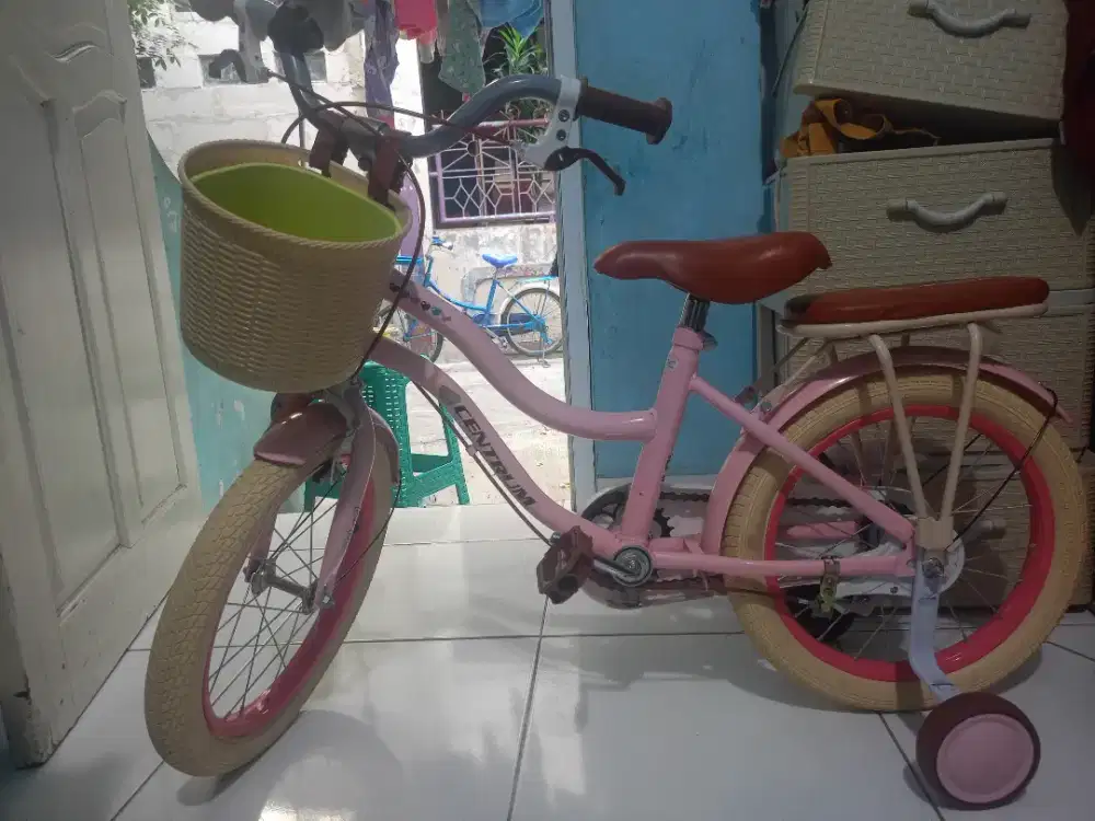 Sepeda anak anak roda 4