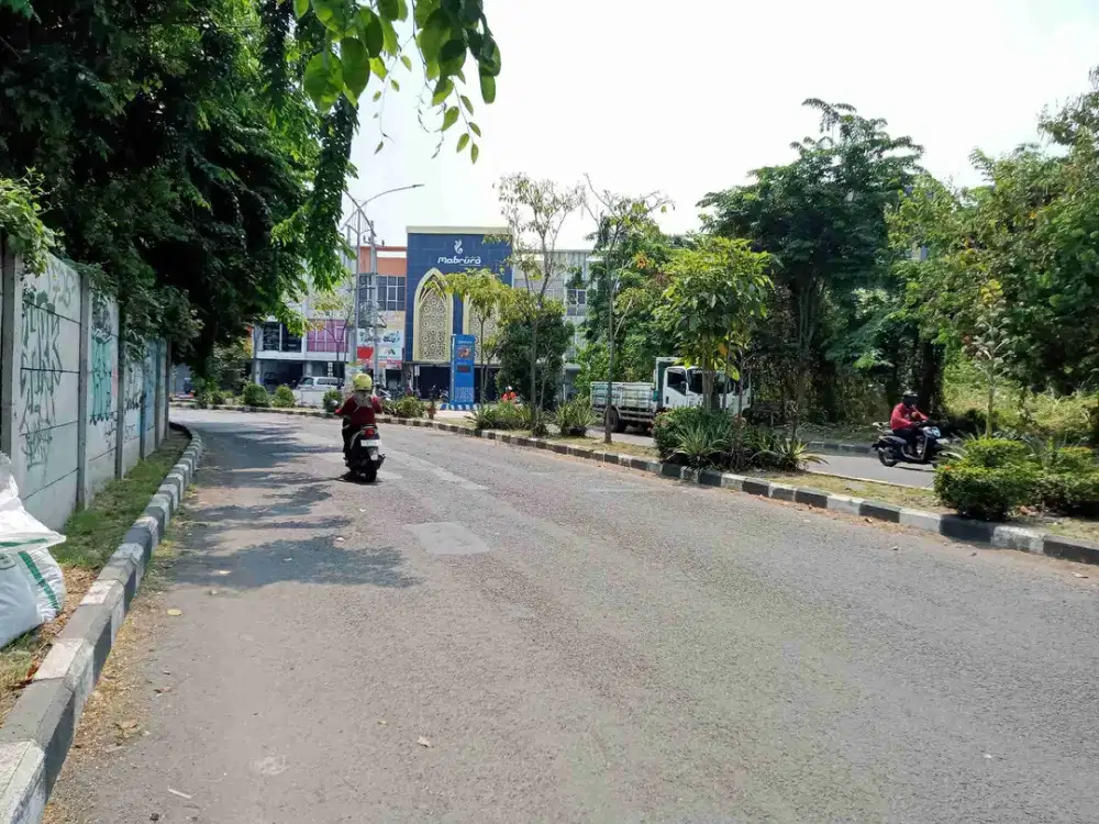 Tanah Disewakan