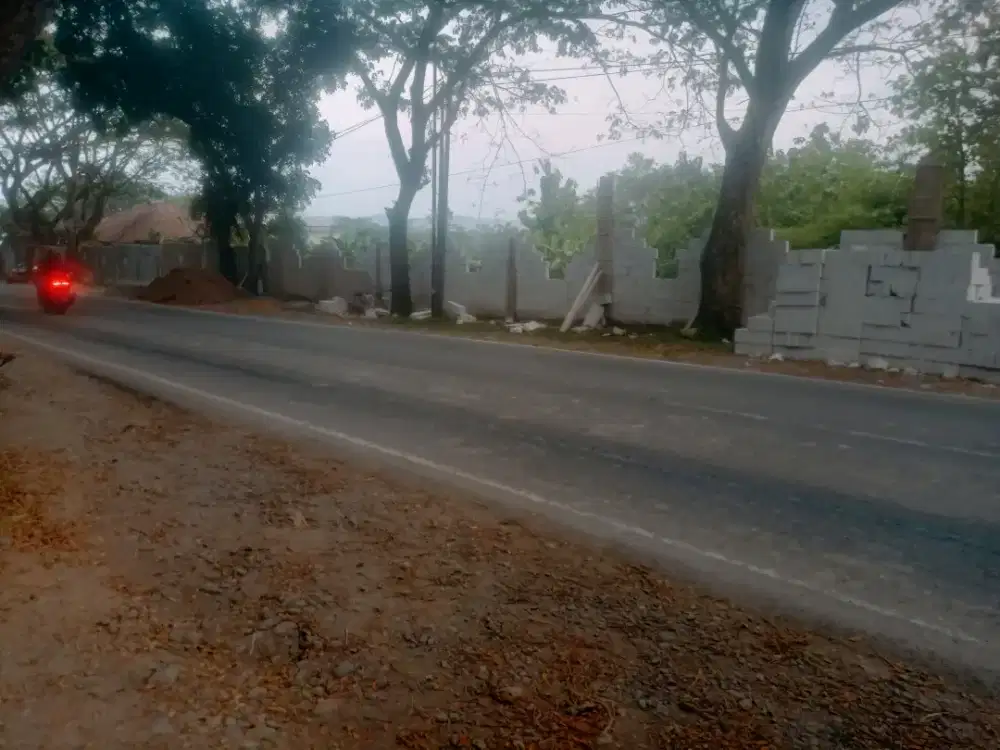Tanah pinggir Jalan Raya Provinsi
