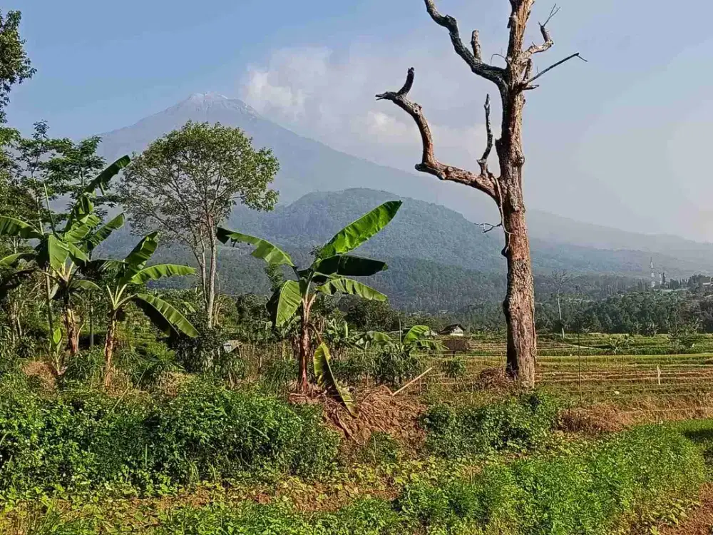 Di Jual tanah pacet view gunung B.U murah