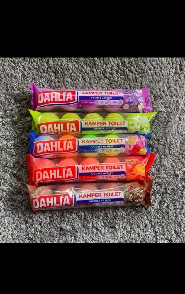 Kamper bola dahlia