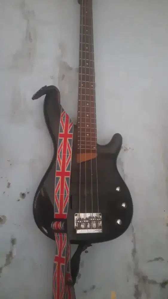 Shecter costumm