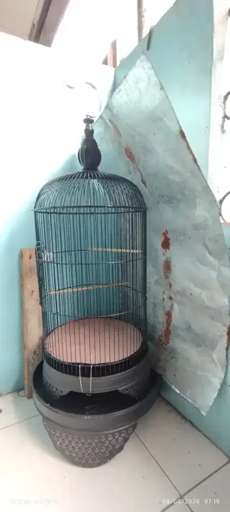 Sangkar love bird layak pakai