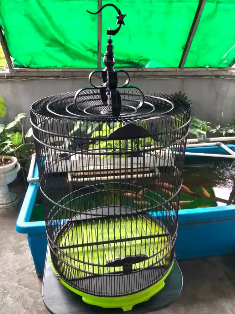 Ebod Sangkar Ruji Full Fiber No 2 Tebok Ceper