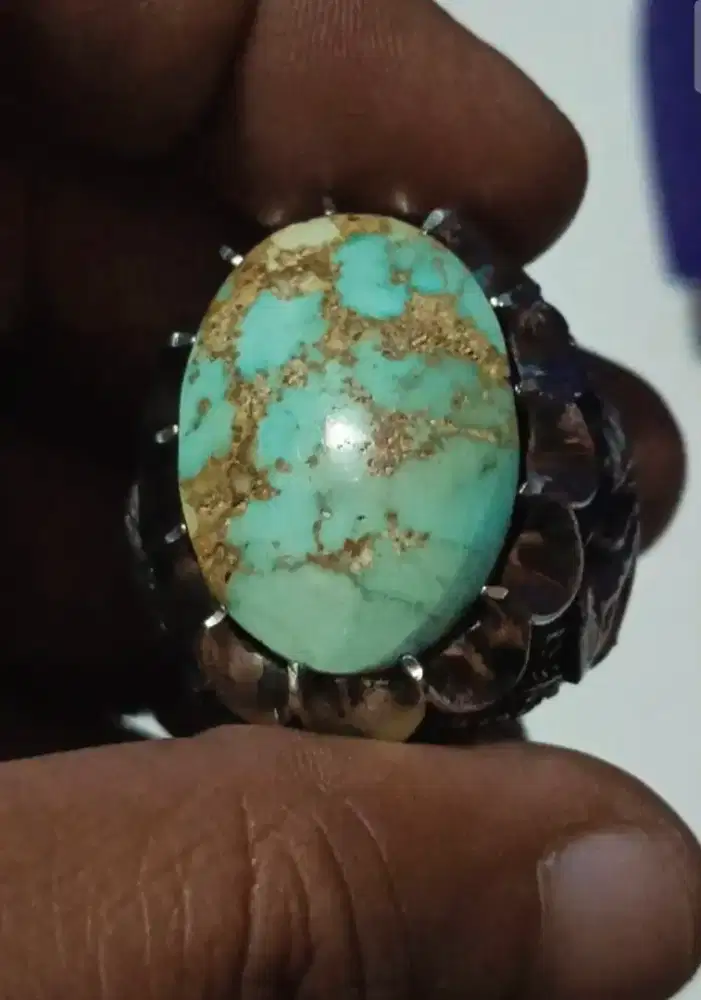 Pirus persia telor asin