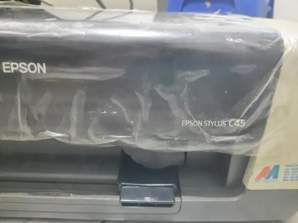 Printer EPSON C45