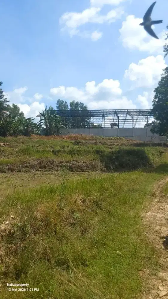 DIJUAL TANAH PERSAWAHAN COCOK BUAT INVEST DI METRO SELATAN