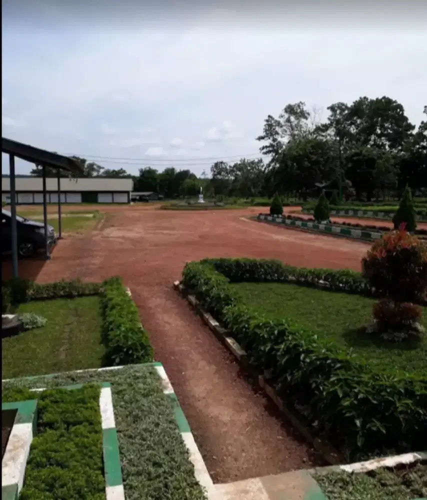 Lowongan kerja Kalimantan tengah