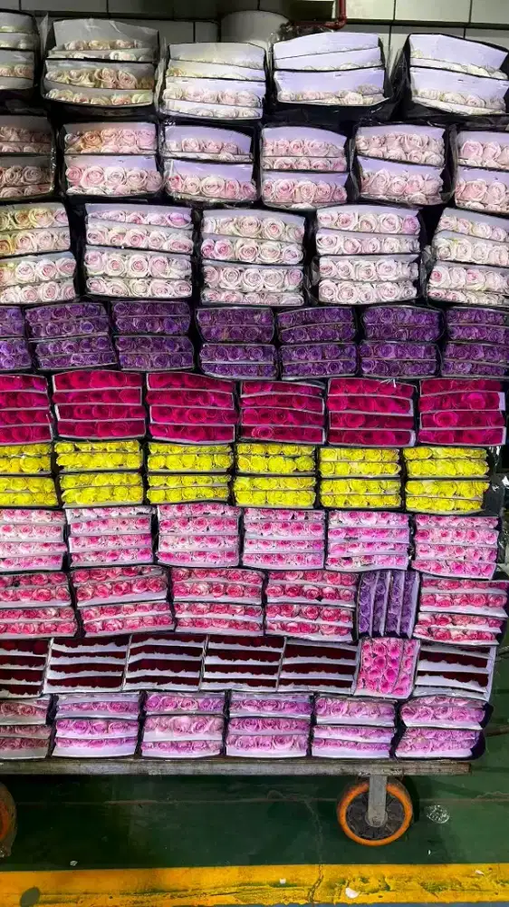 Lowongan kerja untuk toko bunga import