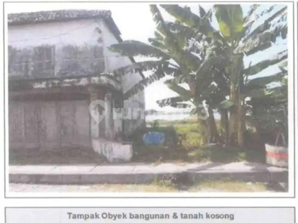 Tanah SHM Dijual Dekat Jalan Raya Cocok untuk Perumahan