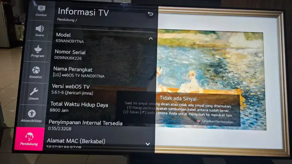 Jual Cepat (BU) Smart TV LG 65inch NANO 91TNA