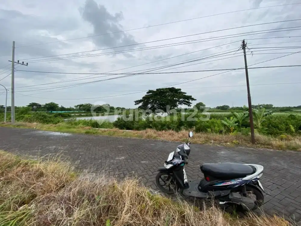 Tanah Strategis Dekat Jalan Pantura Duduk Sampeyan Gresik
