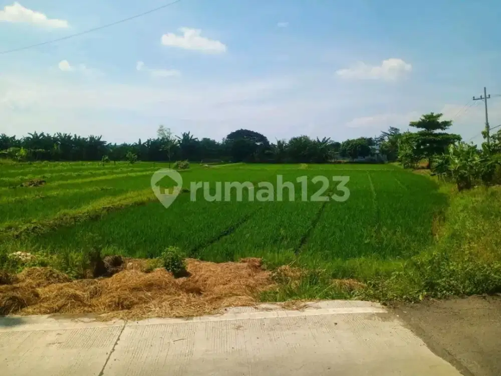 Tanah Strategis Cocok Untuk Perumahan Lokasi Menganti