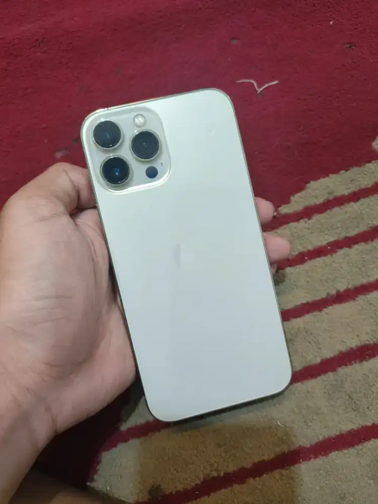 iPhone 13 pro mx 256 inter