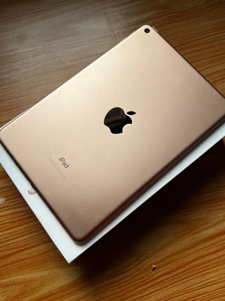 iPad Mini 5 64Gb fullset ori mulus