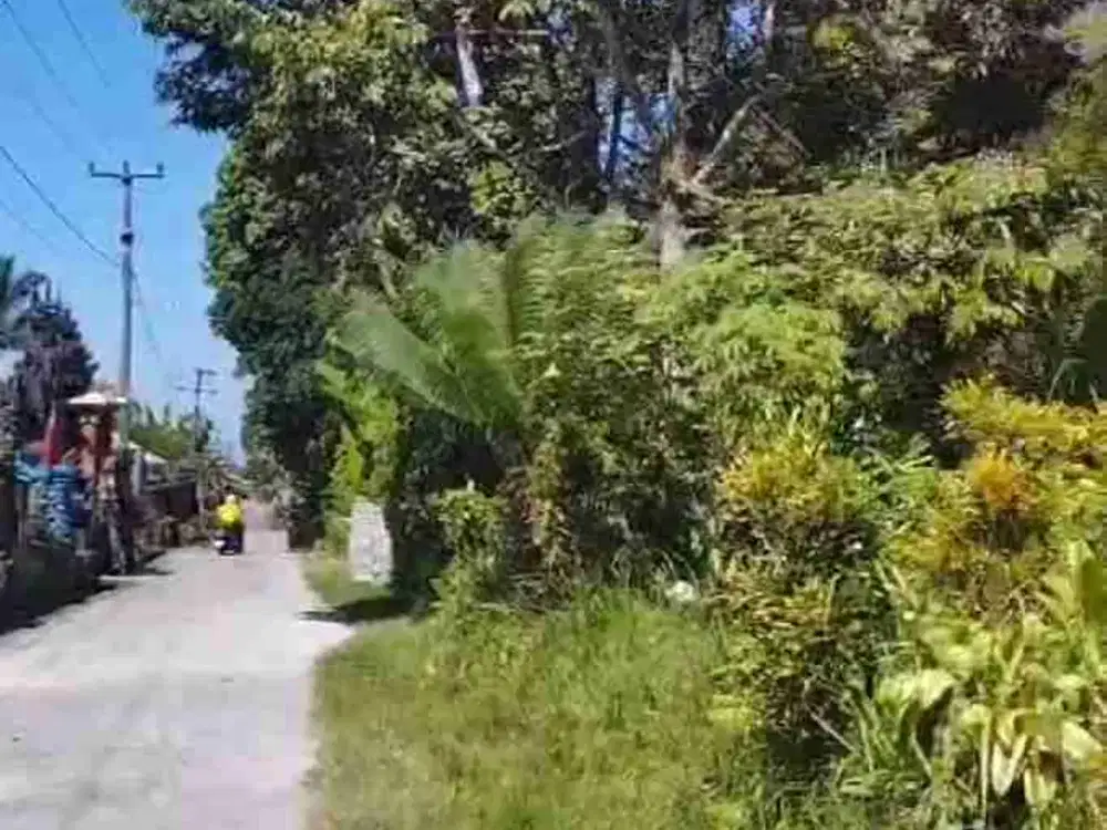 tanah murah marga Tabanan bali