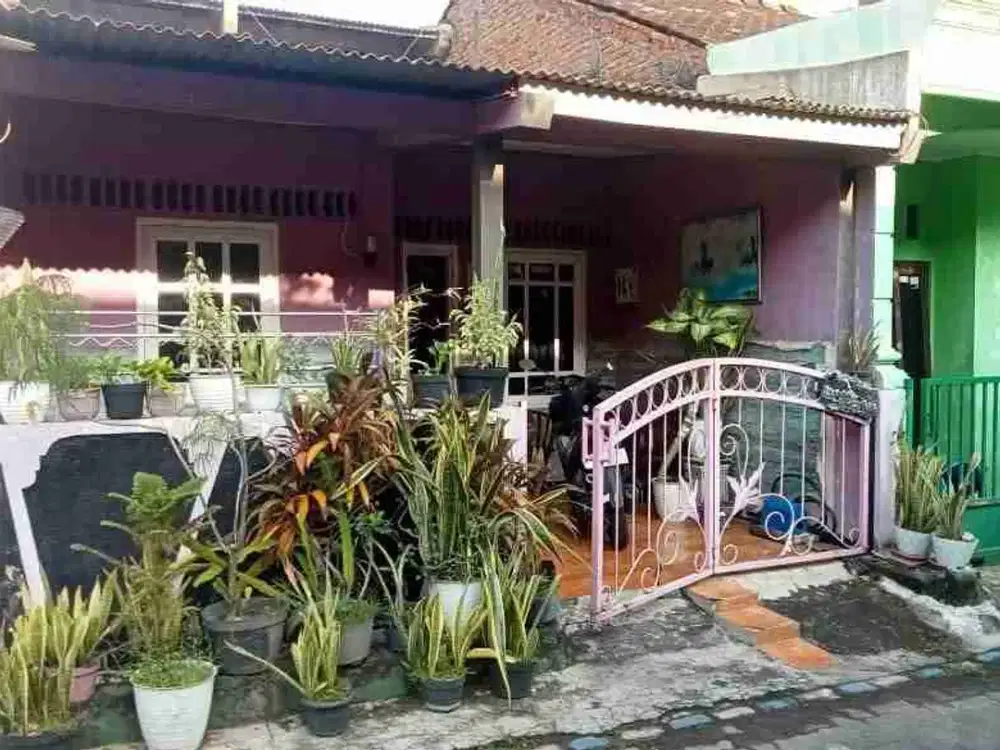 Rumah Jl Panda Barat dekat SMP 14, Palebon Pedurungan Semarang