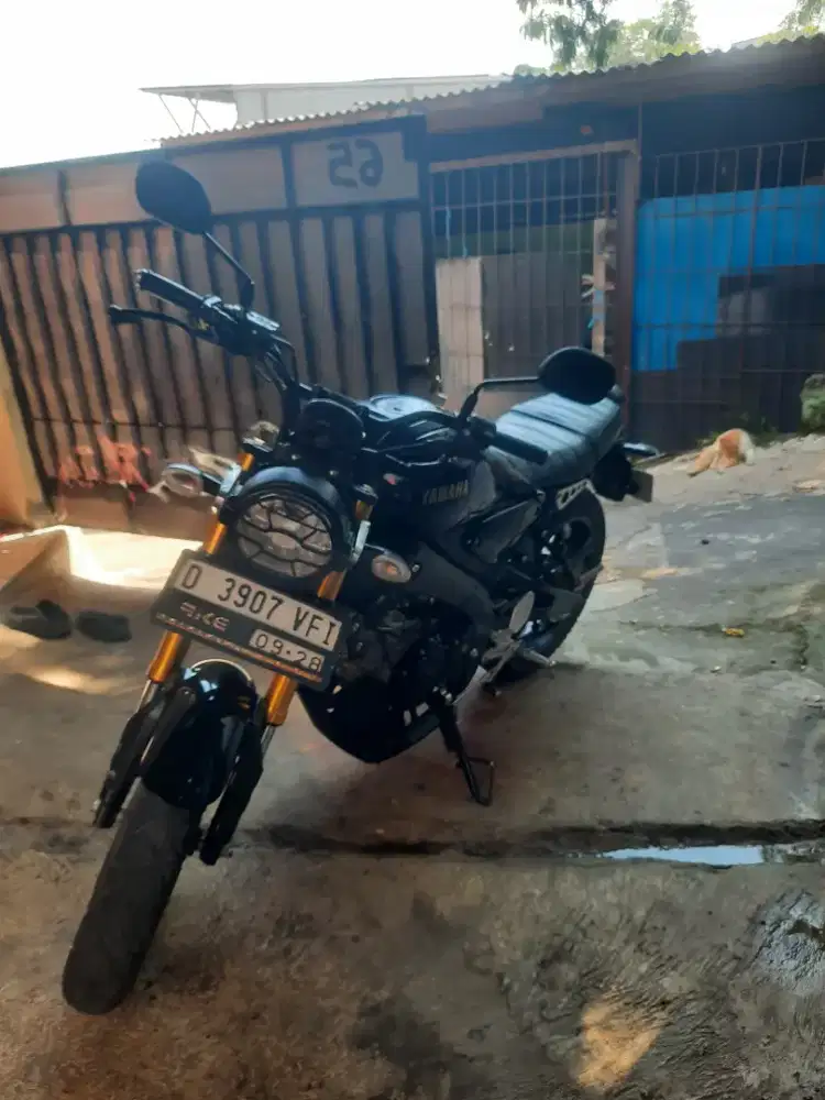 Yamaha XSR 155 2023