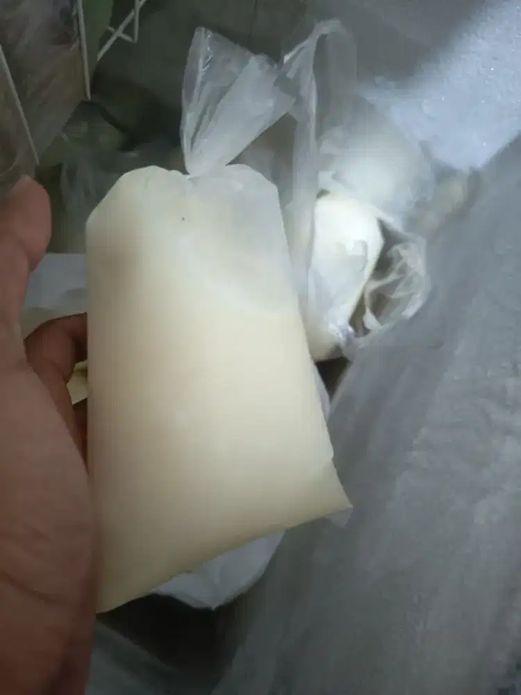 Susu kambing segar