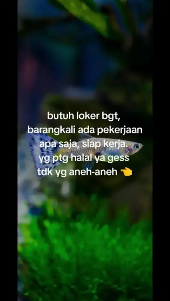 Bismillah cari kerja sampingan  halal ap aja siap belajar
