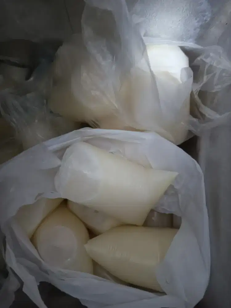 Susu kambing Segar 100% murni