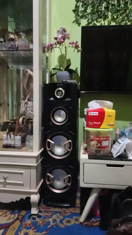 Speaker Active Polytron PAS 8EF28