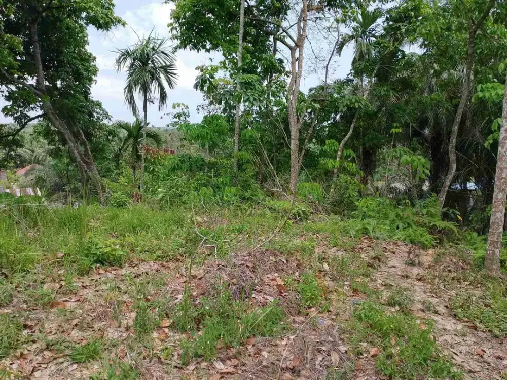DIJUAL TANAH LUAS PEKAN BESITANG