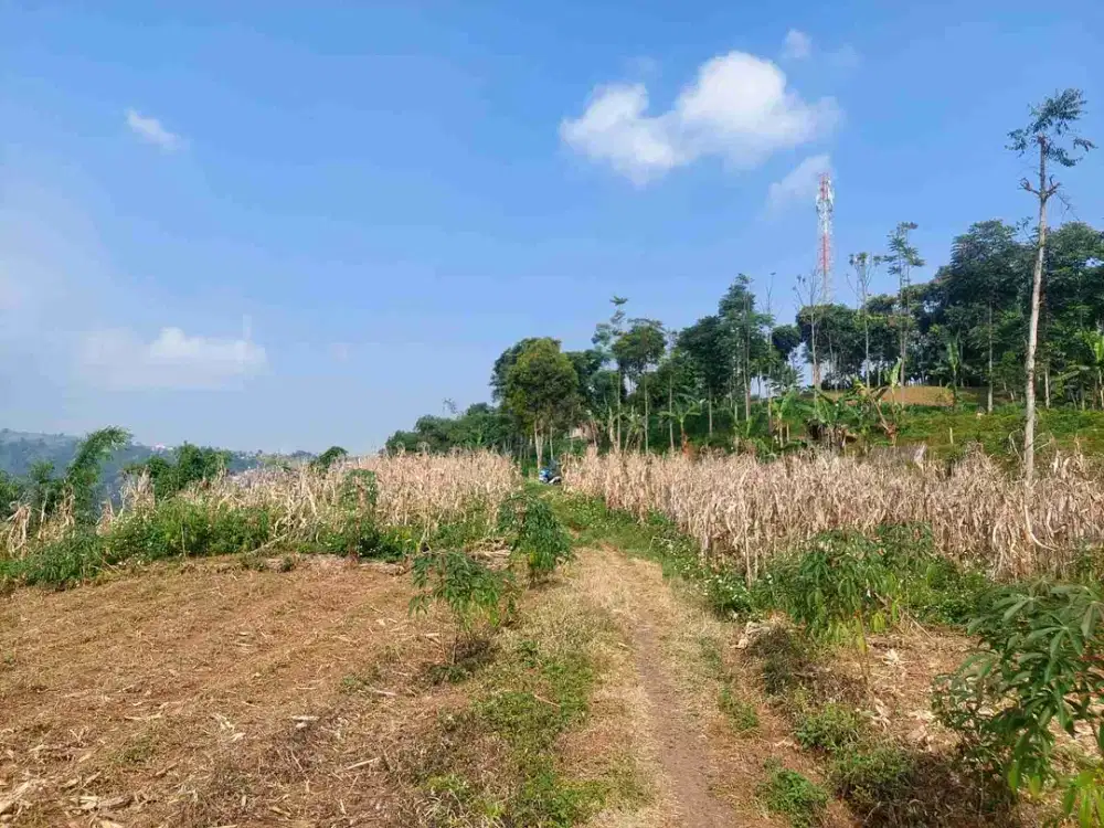 Tanah murah sumedang jarang ada