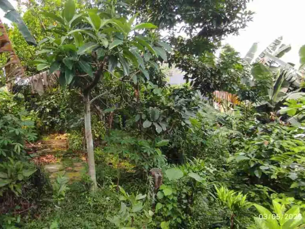 Dijual Cepat Tanah Luas 2400m2 di Ciputat Tangerang Selatan