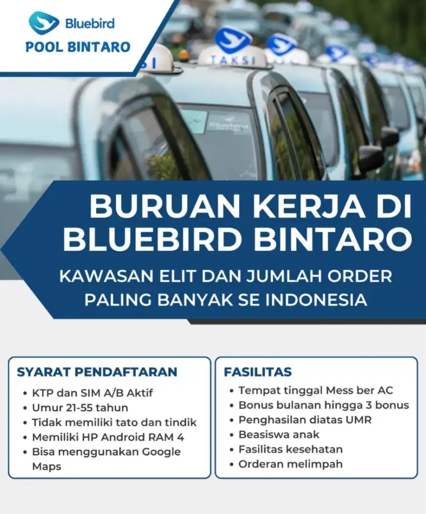 Dibutuhkan 50orang segera lowongan Driver Bluebird daerah Pool Bintaro