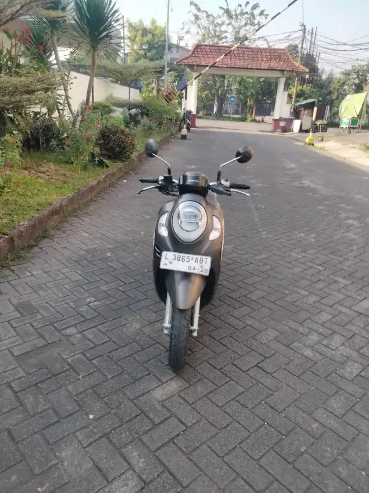 Scoopy keyyles tahun 2023