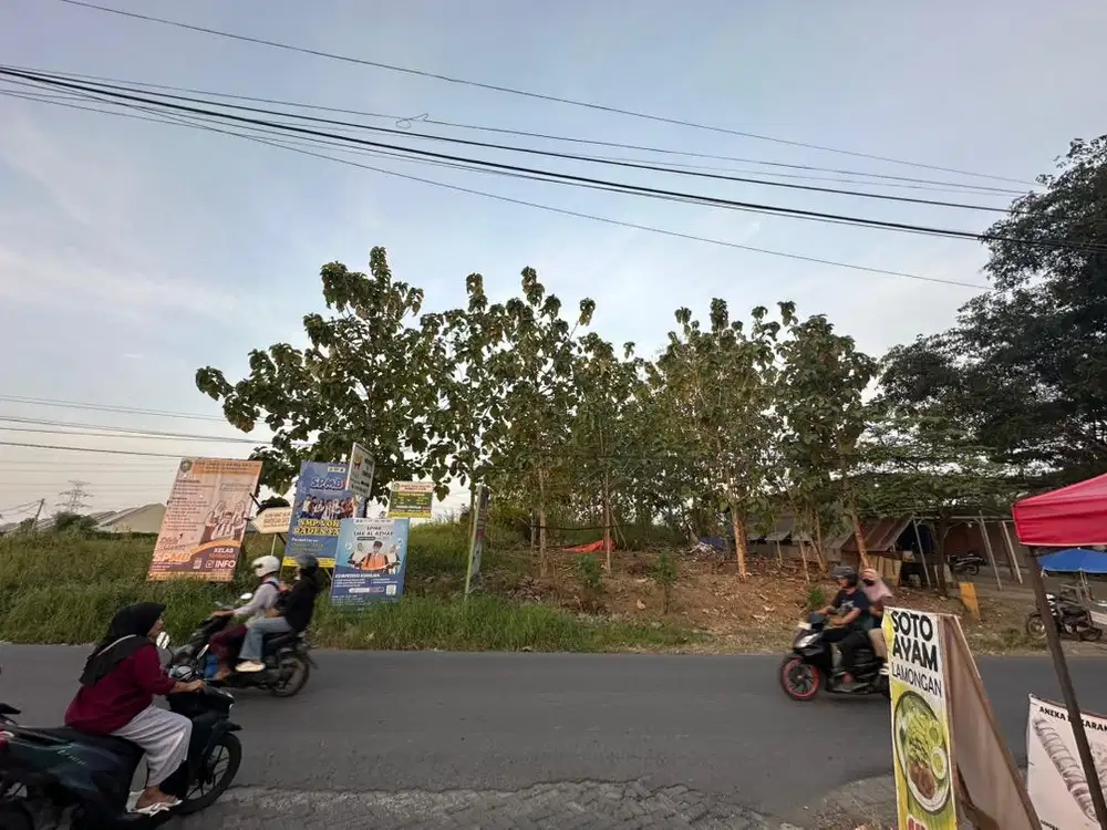 TANAH LUAS DRIYOREJO GRESIK