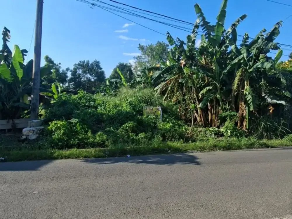 Tanah Matang Siap Bangun Area Perintis Makassar