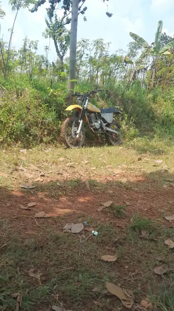 Honda trail tiger