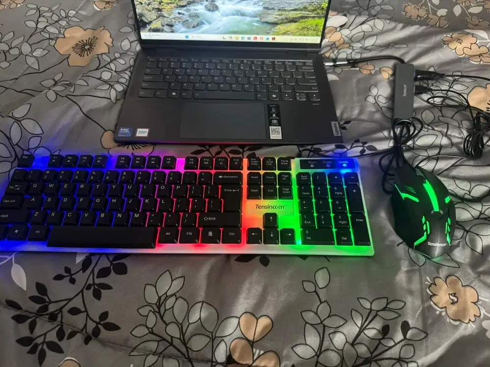 Mechanical keyboard + mouse